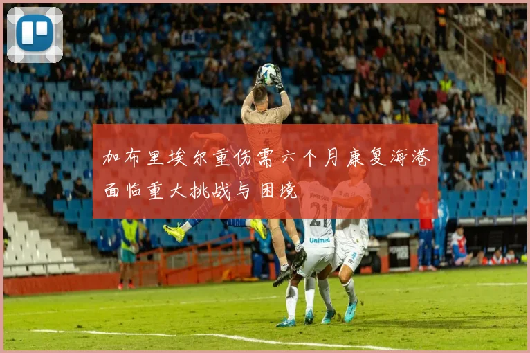 加布里埃尔重伤需六个月康复海港面临重大挑战与困境